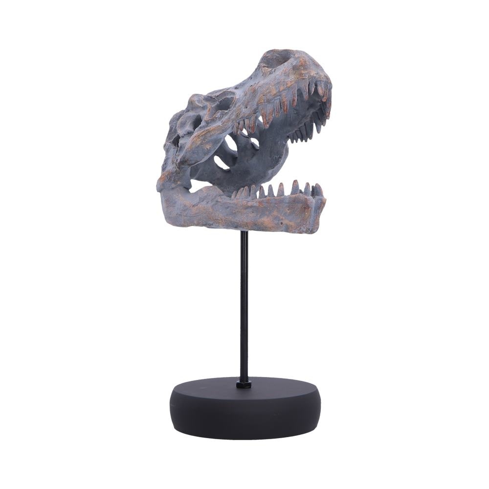 Nemesis Now - Tyrannosaurus Rex Skull on Plinth Beeld/figuur - Multicolours